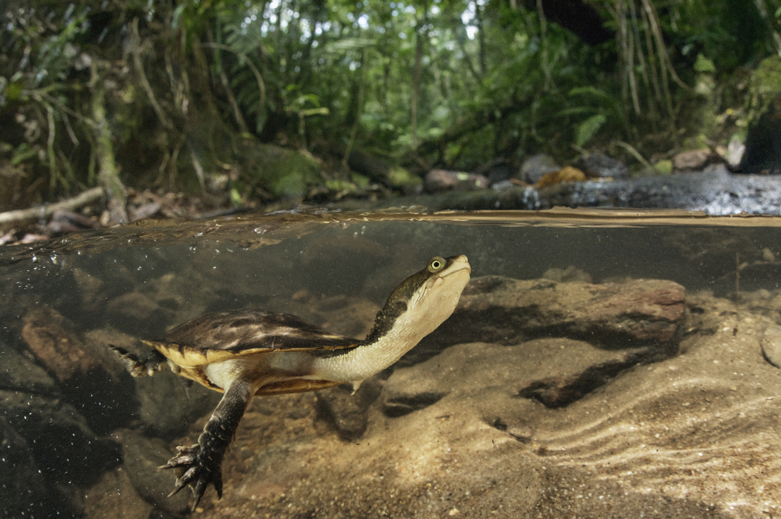 e079d7fe-54b6-46d2-bf85-a54aa9cb7d75 (1)