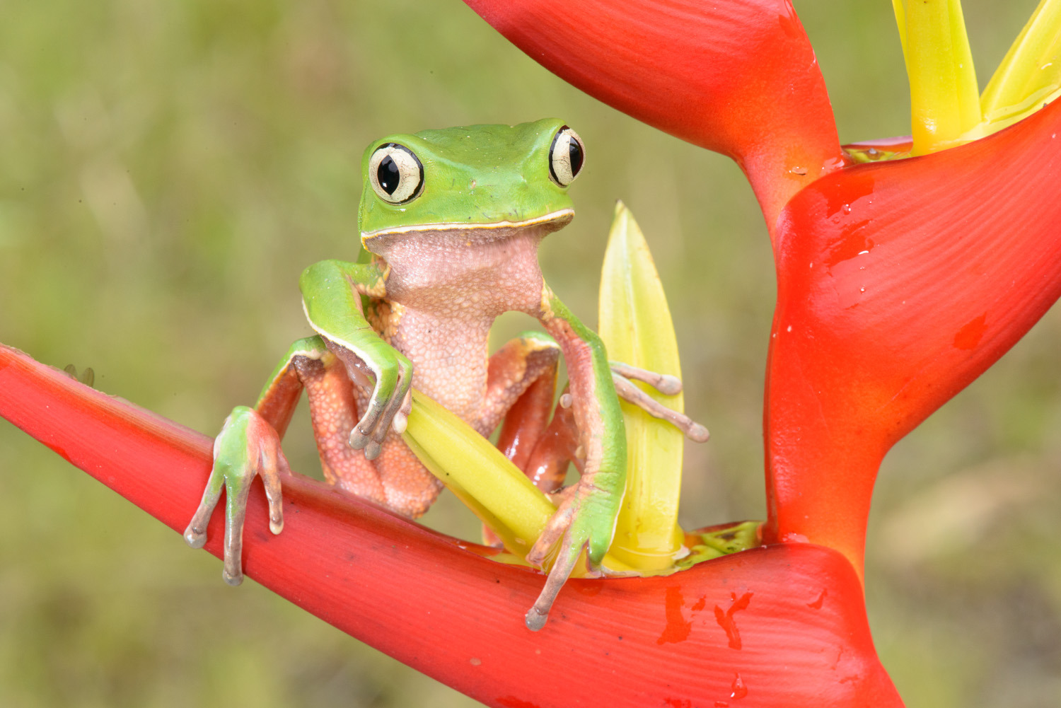 l_candisani_reserva_votorantim-132 (1)